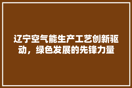 辽宁空气能生产工艺创新驱动，绿色发展的先锋力量