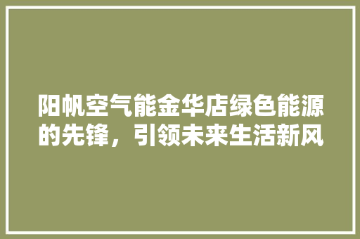 阳帆空气能金华店绿色能源的先锋，引领未来生活新风尚