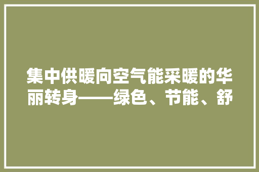 集中供暖向空气能采暖的华丽转身——绿色、节能、舒适的家居新选择 厨房维修