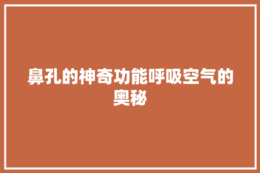 鼻孔的神奇功能呼吸空气的奥秘