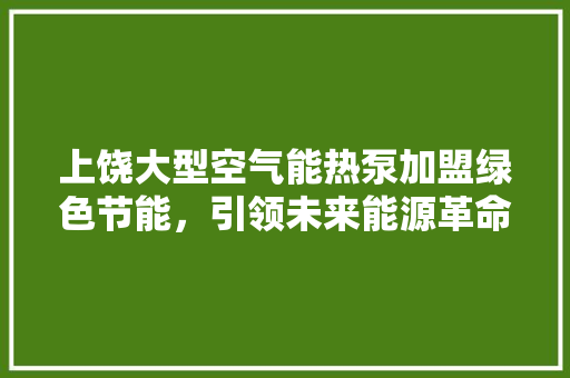 上饶大型空气能热泵加盟绿色节能，引领未来能源革命