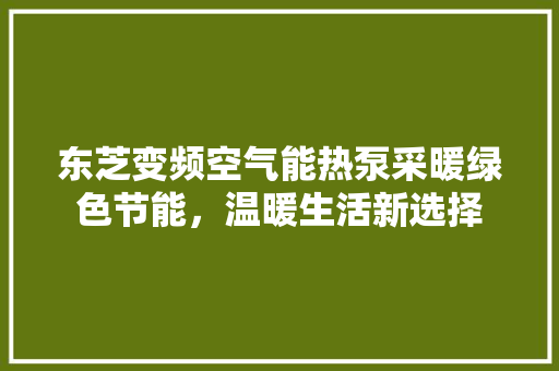 东芝变频空气能热泵采暖绿色节能，温暖生活新选择 墙体维修