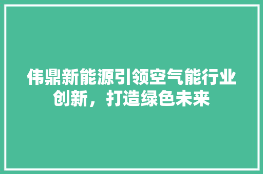 伟鼎新能源引领空气能行业创新，打造绿色未来