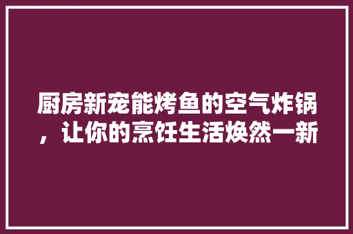 厨房新宠能烤鱼的空气炸锅，让你的烹饪生活焕然一新
