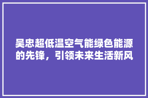 吴忠超低温空气能绿色能源的先锋，引领未来生活新风尚