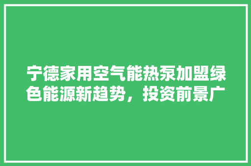 宁德家用空气能热泵加盟绿色能源新趋势，投资前景广阔