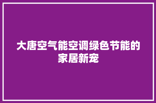 大唐空气能空调绿色节能的家居新宠