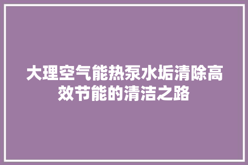 大理空气能热泵水垢清除高效节能的清洁之路 家电维修
