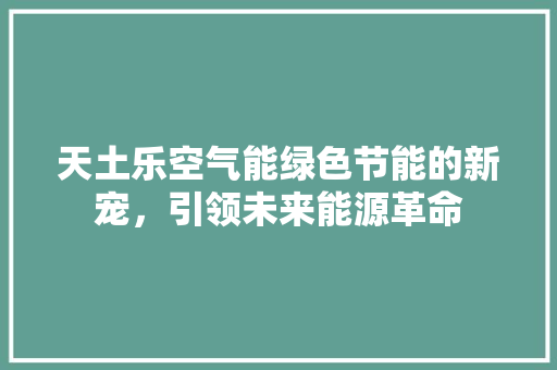 天土乐空气能绿色节能的新宠，引领未来能源革命 厨房维修