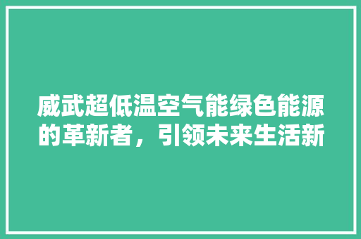 威武超低温空气能绿色能源的革新者，引领未来生活新风尚 墙体维修