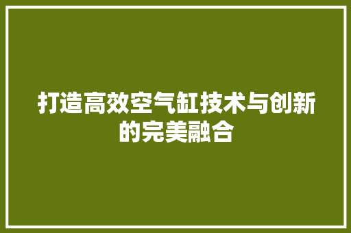 打造高效空气缸技术与创新的完美融合