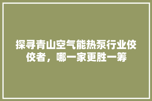 探寻青山空气能热泵行业佼佼者，哪一家更胜一筹 厨房维修