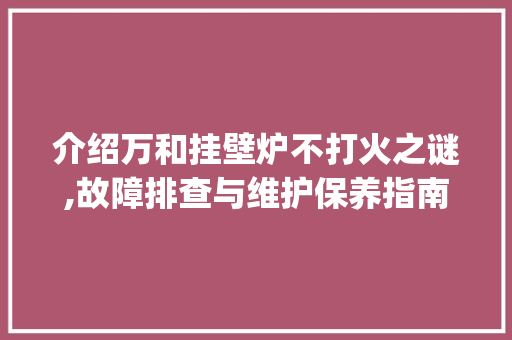 介绍万和挂壁炉不打火之谜,故障排查与维护保养指南_万和挂壁炉不打火