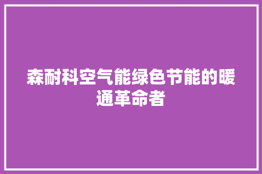 森耐科空气能绿色节能的暖通革命者