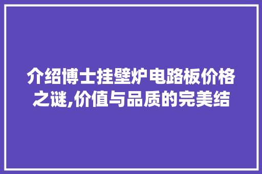 介绍博士挂壁炉电路板价格之谜,价值与品质的完美结合_博士挂壁炉电路板的价格是多少 介绍博士挂壁炉电路板价格之谜,价值与品质的完美结合_博士挂壁炉电路板的价格是多少 墙体维修