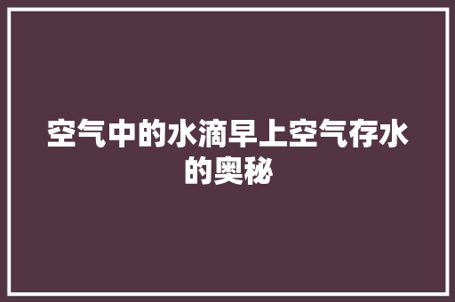 空气中的水滴早上空气存水的奥秘