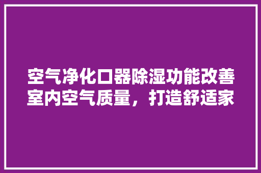 空气净化口器除湿功能改善室内空气质量，打造舒适家居环境