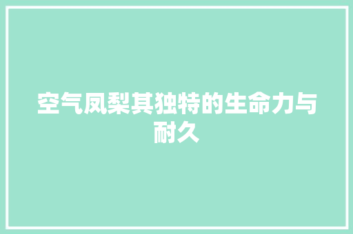 空气凤梨其独特的生命力与耐久 综合便民