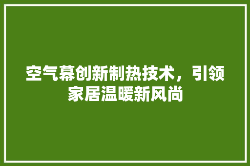 空气幕创新制热技术，引领家居温暖新风尚 厨房维修