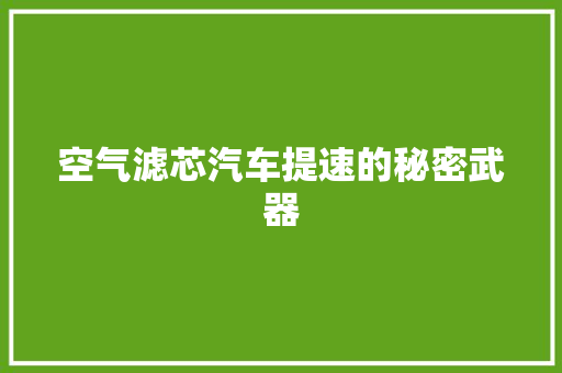 空气滤芯汽车提速的秘密武器 综合便民