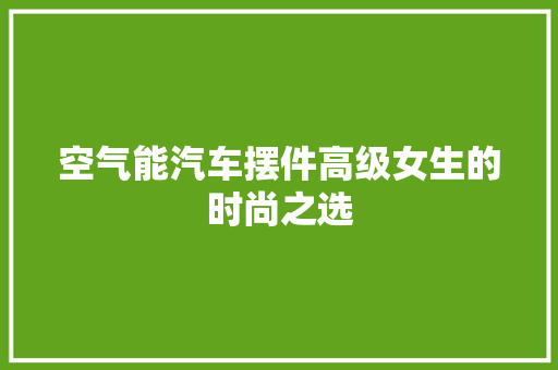空气能汽车摆件高级女生的时尚之选