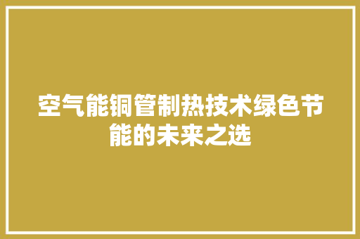 空气能铜管制热技术绿色节能的未来之选 墙体维修