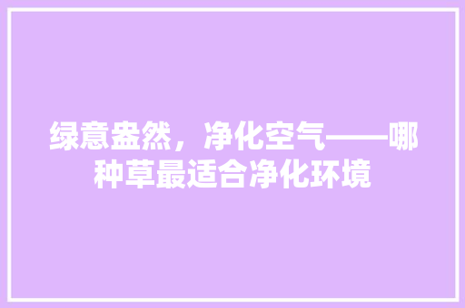 绿意盎然，净化空气——哪种草最适合净化环境