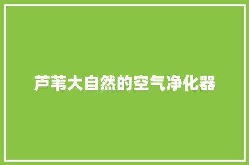 芦苇大自然的空气净化器 家电维修