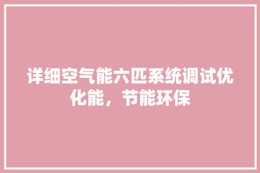 详细空气能六匹系统调试优化能，节能环保 墙体维修