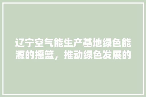 辽宁空气能生产基地绿色能源的摇篮，推动绿色发展的先锋