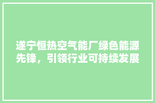 遂宁恒热空气能厂绿色能源先锋，引领行业可持续发展