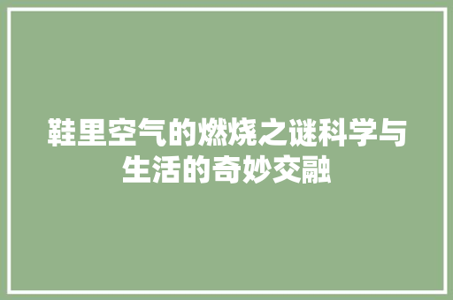 鞋里空气的燃烧之谜科学与生活的奇妙交融 厨房维修