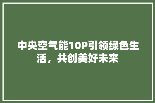 中央空气能10P引领绿色生活，共创美好未来