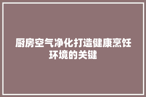 厨房空气净化打造健康烹饪环境的关键 墙体维修