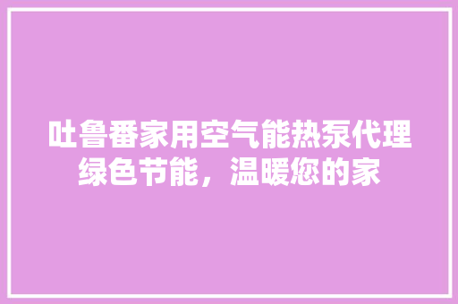吐鲁番家用空气能热泵代理绿色节能，温暖您的家 厨房维修