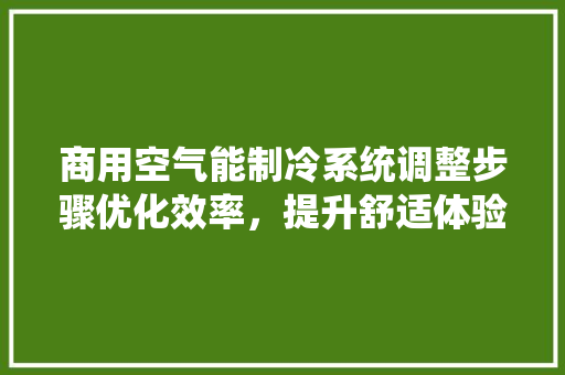 商用空气能制冷系统调整步骤优化效率，提升舒适体验