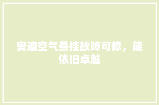 奥迪空气悬挂故障可修，能依旧卓越