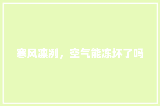 寒风凛冽，空气能冻坏了吗