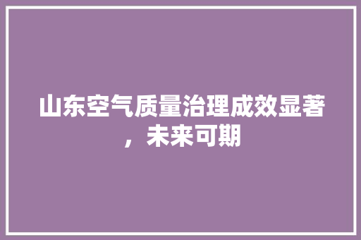 山东空气质量治理成效显著，未来可期