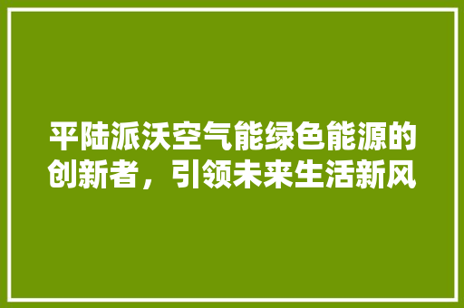 平陆派沃空气能绿色能源的创新者，引领未来生活新风尚
