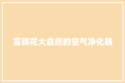 富锦花大自然的空气净化器
