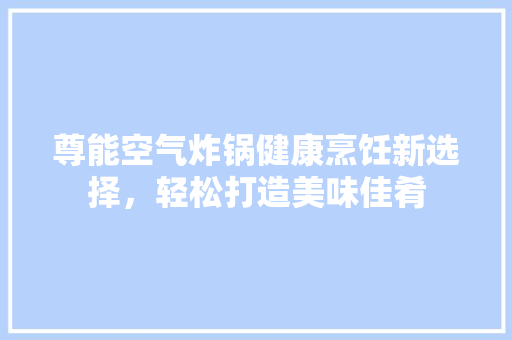 尊能空气炸锅健康烹饪新选择，轻松打造美味佳肴