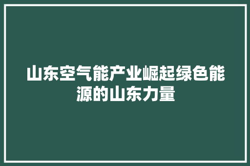 山东空气能产业崛起绿色能源的山东力量 汽车维修