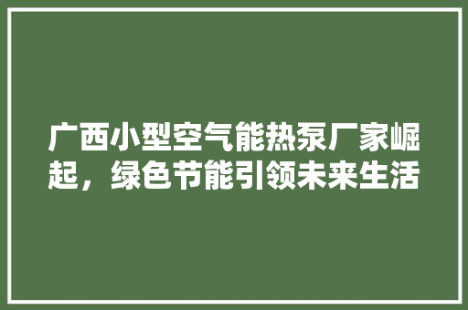 广西小型空气能热泵厂家崛起，绿色节能引领未来生活 墙体维修