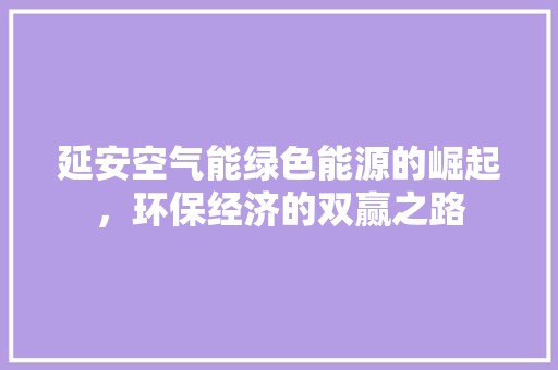 延安空气能绿色能源的崛起，环保经济的双赢之路 家电维修
