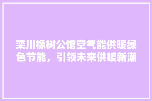 栾川橡树公馆空气能供暖绿色节能，引领未来供暖新潮流