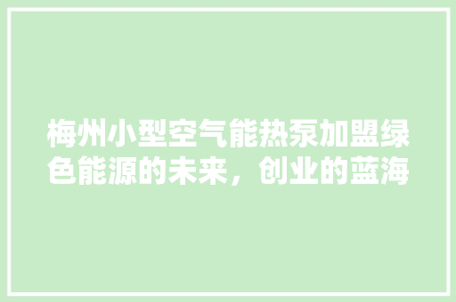 梅州小型空气能热泵加盟绿色能源的未来，创业的蓝海
