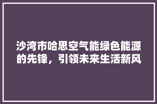 沙湾市哈思空气能绿色能源的先锋，引领未来生活新风尚