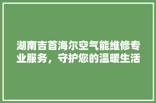 湖南吉首海尔空气能维修专业服务，守护您的温暖生活