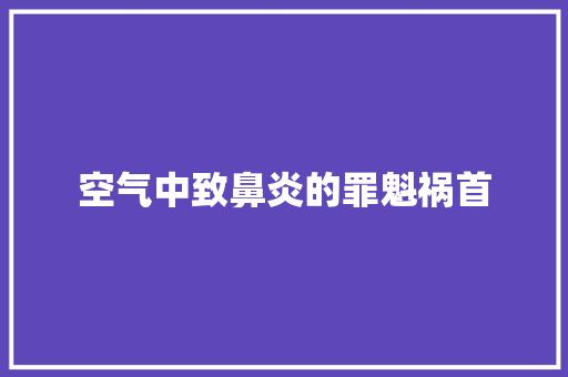 空气中致鼻炎的罪魁祸首